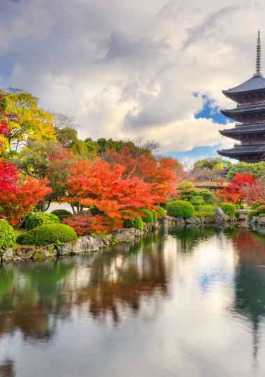 EXPO JAPON